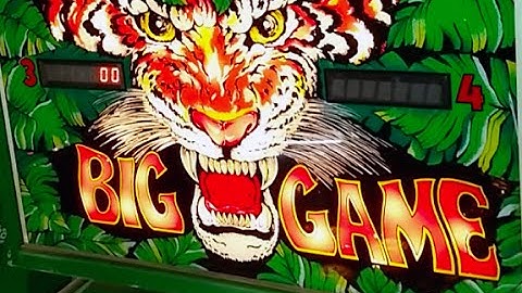 1980 Stern BIG GAME Pinball Machine In Action