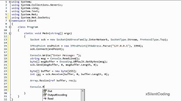 C# Socket Basics - Client