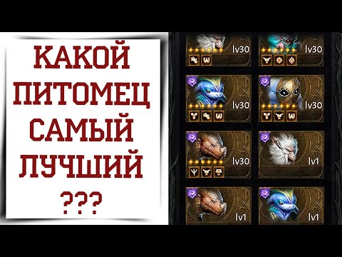 Видео: Топ фамилиаров Diablo Immortal | Лучшие питомцы