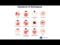 meaning of Andropause