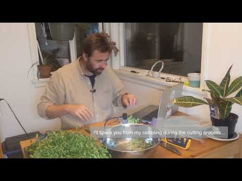 Cutting Experiment Video #3 - Cutting and Photographing Sunnies