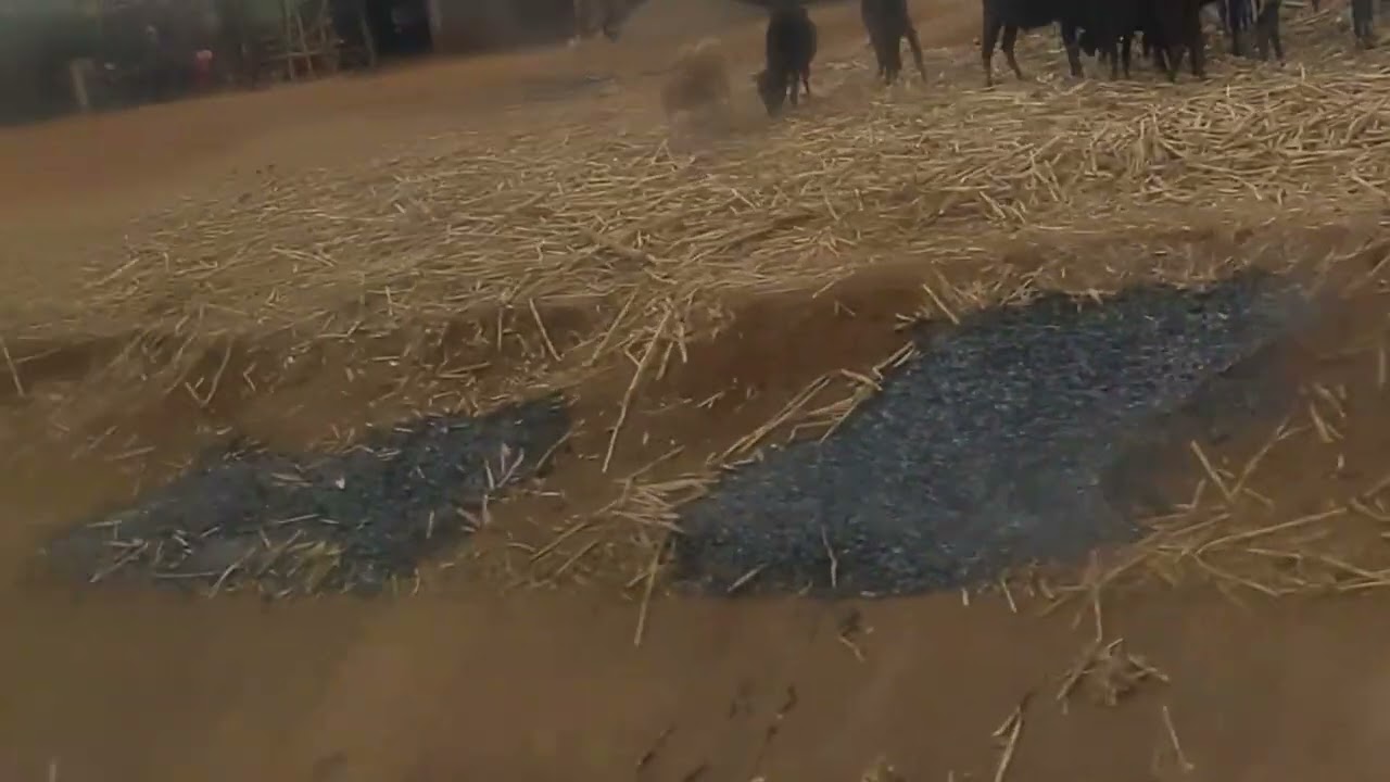 My Journey from Singida to Tarakea town Kilimanjaro Tanzania 🇹🇿🇹🇿