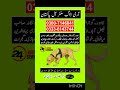 Army Dog Center Okara | Khoji Dog in Okara | Khoji Kutte Okara