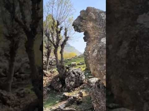 إشارات الدفائن رأس الاسد الحارس علم الإشارات كنوز مدفونة تحليل الإشارات أسرار الكنوز علم الآثار