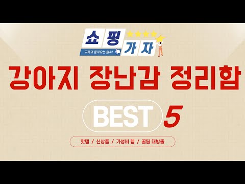 강아지 장난감 정리함 후기 리뷰 추천 TOP5