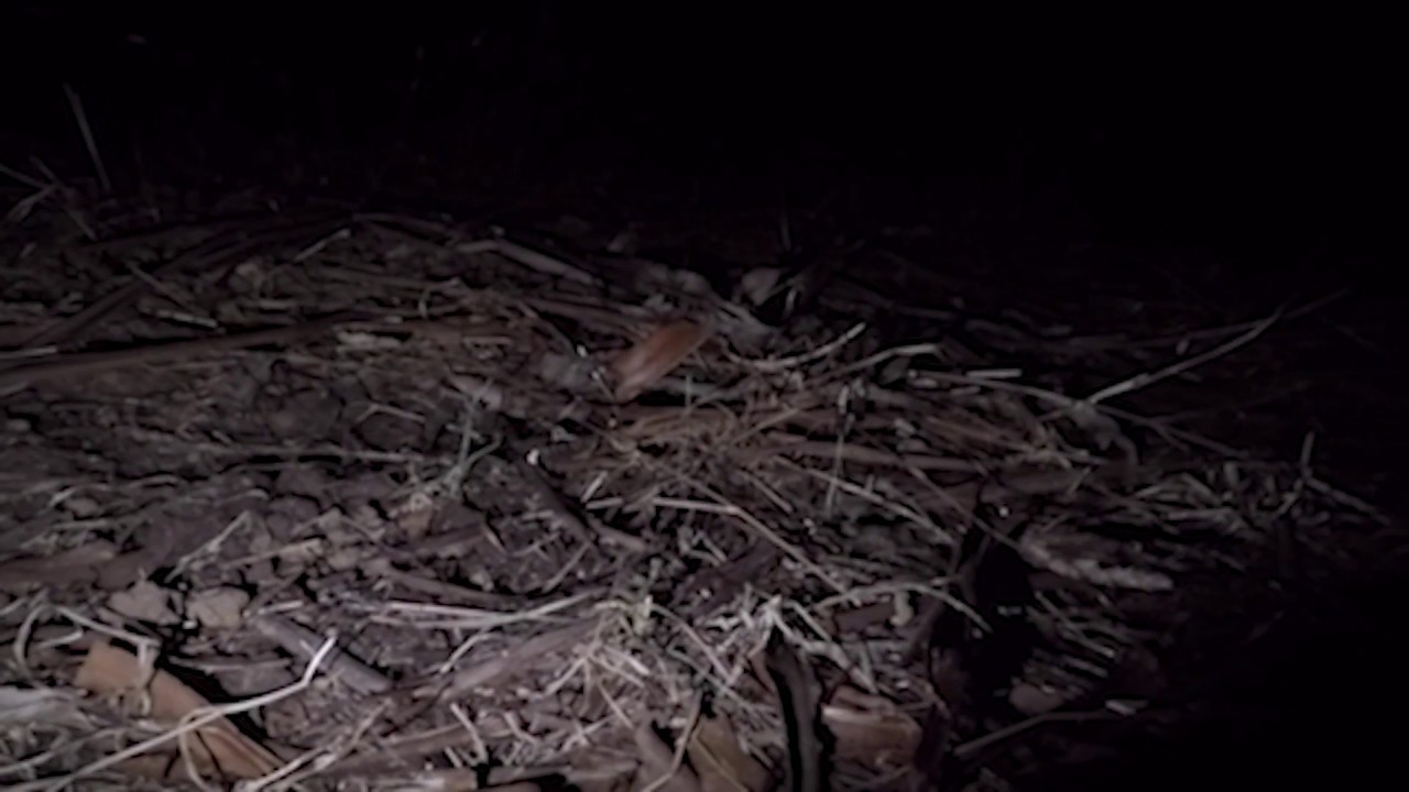 he's waiting for you. in the dirt. - l