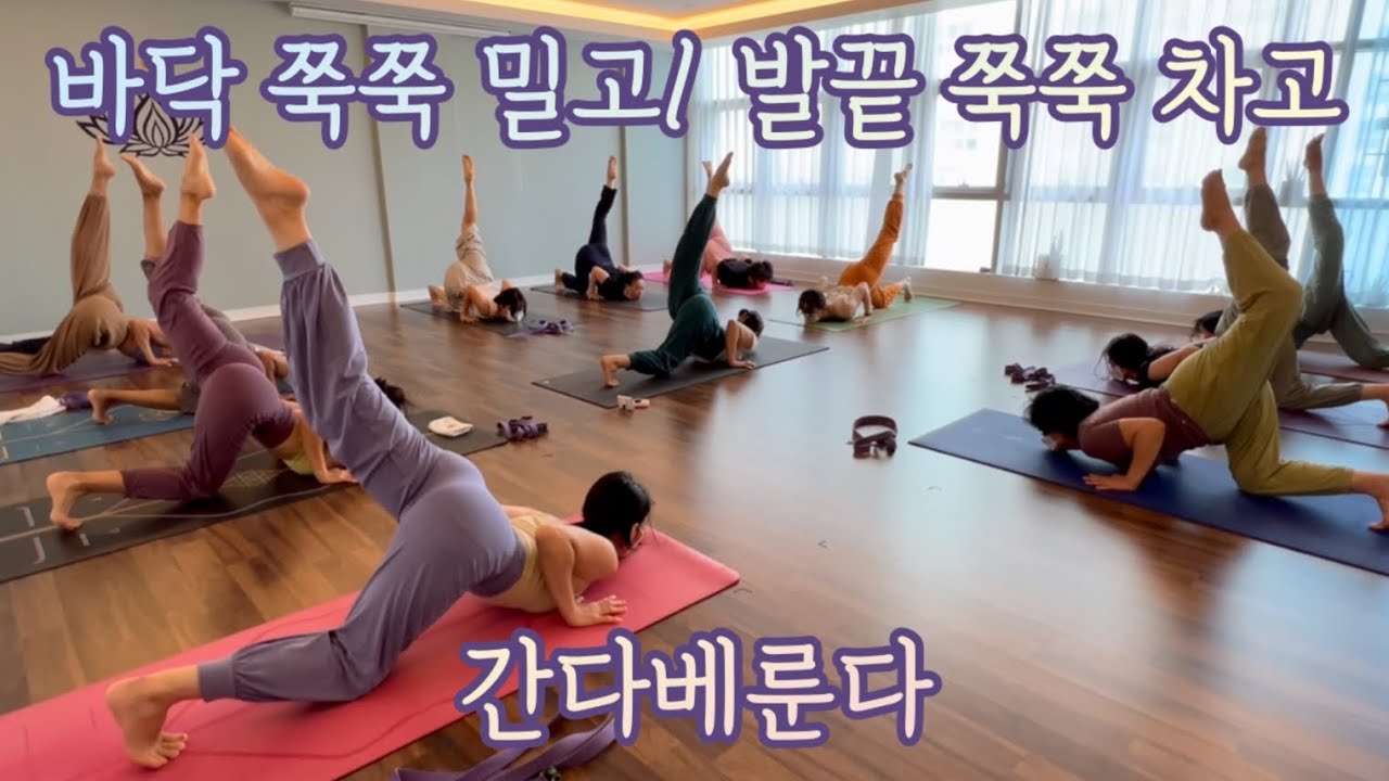 [엔젤요가] 간다베룬다사나 | Chin stand  | 단계별접근 | 하타요가 | 깊은후굴 | 기후전비도 | yoga at home | 랜선요가 | 홈요가
