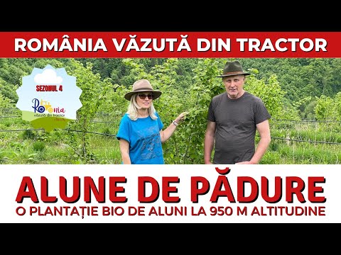 Video: Ce cultură poate fi cultivată la cea mai înaltă altitudine?