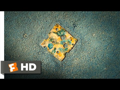 Diary of a Wimpy Kid (2010) - The Cheese Touch Scene (1/5) | Movieclips