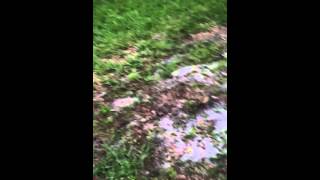 Homemade zipline gone wrong