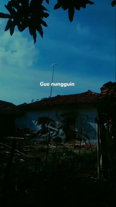 Bodoh soal perempuan #quotes #shorts #shortviral #sadboy