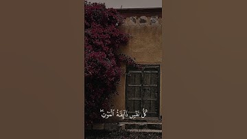 قارئ«محمد ديبيروف»سورة«العنكبوت»الايه«57-56» #قرآن