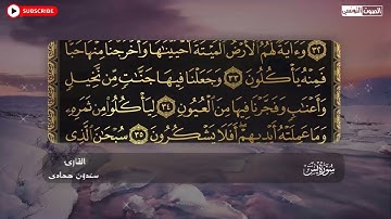 سعدون حمادي الختمة المرئية سورة (يس)كاملة