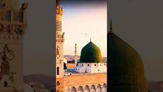 bahut pyari naat