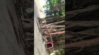 Barm Baba Bhojpuri Song