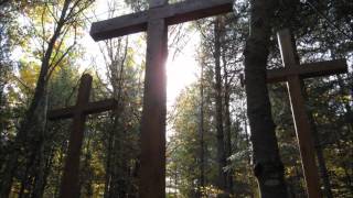 Video thumbnail of "Behold the Wood - Dan Schutte"
