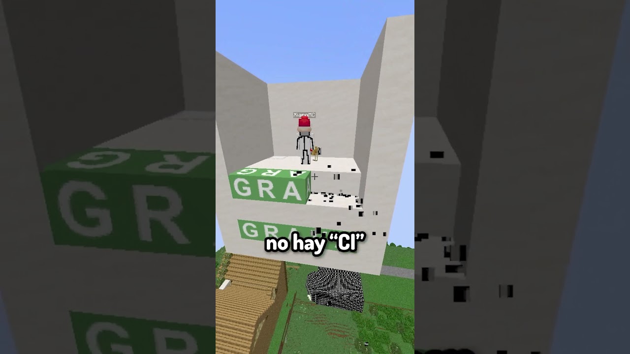 GRABA GRAPA GRAVA #minecraft #short