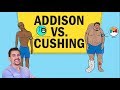 Addisons vs cushings disease for nclex rn
