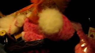 Webkinz Craziness Part 6