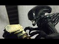 Baked reviews: Kenner AVP the ultimate battle 2 pack p2