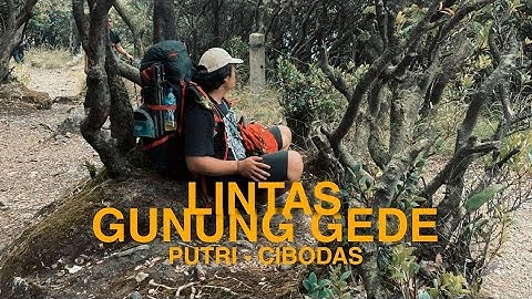 FULL VIDEO ‼️ WAJIB COBA UNTUK PEMULA ❗️PENDAKIAN GUNUNG GEDE VIA PUTRI LINTAS CIBODAS