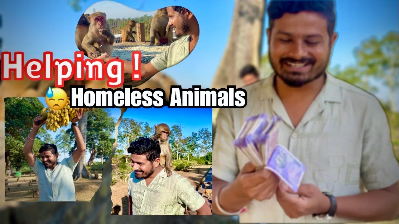 My Mission to Help Homeless Animals and Some Poor Peoples | Helping poor people | ভাল লগা মুহূৰ্ত 