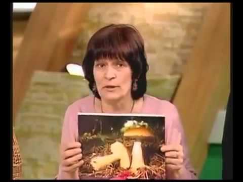 Исцеление постом “Здоровенькі були“ Исцеление постом “Здоровенькі були“