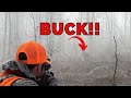 Still hunting the top of a mountain   buck down bigwoods whitetails mountains