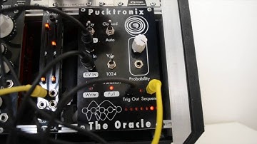 Pucktronix - The Oracle Eurorack Module - Training Demo