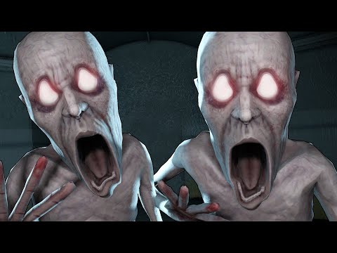 видео: НОВЫЙ РЕЖИМ! ЗАСПАВНИЛСЯ ВТОРЫМ СКРОМНИКОМ ПОСРЕДИ ИГРЫ... SCP:SECRET LABORATORY!