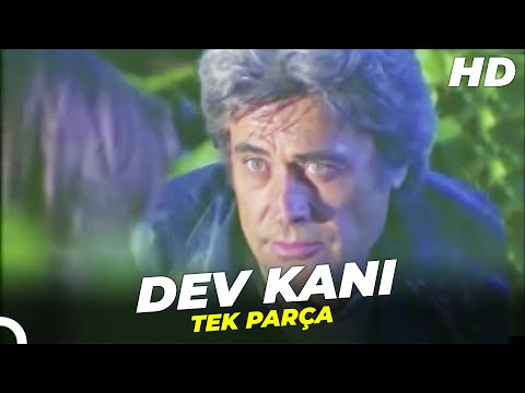 Dev Kanı | Cüneyt Arkın Filmi İzle
