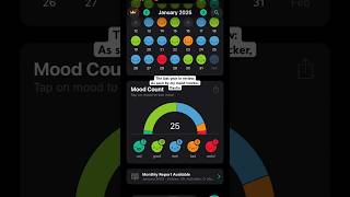 Each month last year in review, as seen by my mood tracker app, Daylio