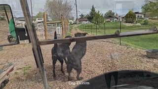 Graham Family Farm NW: 9:50 AM April 19 2026