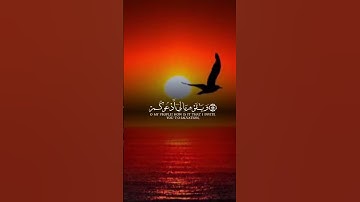 #القرآن_الكريم #تلاوة_خاشعة #اكسبلور #لايك #حالات_واتس #راحة_نفسية #دويتو #تيك_توك