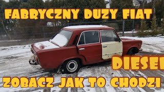 Duży Fiat DIESEL, odpalam unikat, Zobacz jak to chodzi