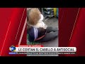 MERCADO CAMPESINO: ATRAPAN A LADRONA Y LE CORTAN SU CABELLO