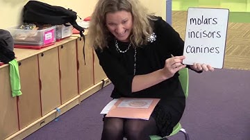 Video 31: Non-Decodable Words (REL Southeast)