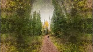 DJ Dog walks with Lupa - Fall 2025 Yukon DJ Jon Gel