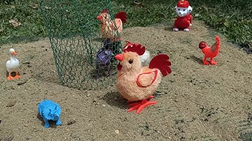 Chơi trò xe đẩy với gà con dễ thương,còn có vịt con,tìm thấy rùa và cua.