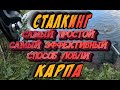 Простой и эффективный способ ловли карпа - СТАЛКИНГ