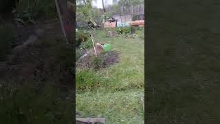 деревня #тверь #дача #дачныедела #домиквдеревне