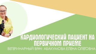 Кардиологический пациент на первичном приеме