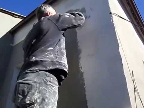цвет короеда фото домов смотреть