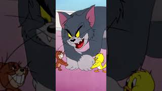 Tom Finally Tricks Jerry? #shorts #TomandJerry