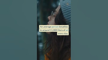 8 Facts About The Lungs #shorts