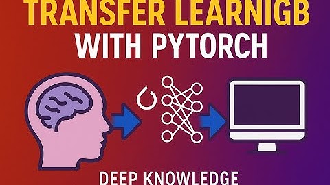 Transfer Learning in PyTorch Explained Step by Step 🚀  Beginner to Pro in One Video