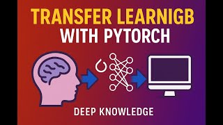 Transfer Learning in PyTorch Explained Step by Step 🚀  Beginner to Pro in One Video