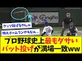 【ダサすぎ】プロ野球史上最もダサいバット投げが満場一致wwwwww【なんJなんG反応】【2ch5ch】