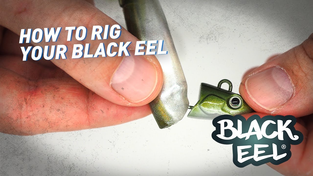 Fiiish - Montage du Black Eel