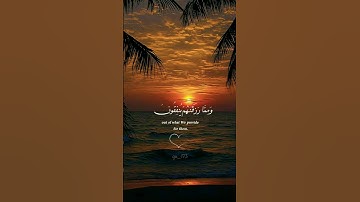 #القرانالكريم #القارئ #ياسر_الدوسري #تلاوات #قرآن #راحة_نفسية #قراءة_خاشعة #reels #quran #fyp #viral